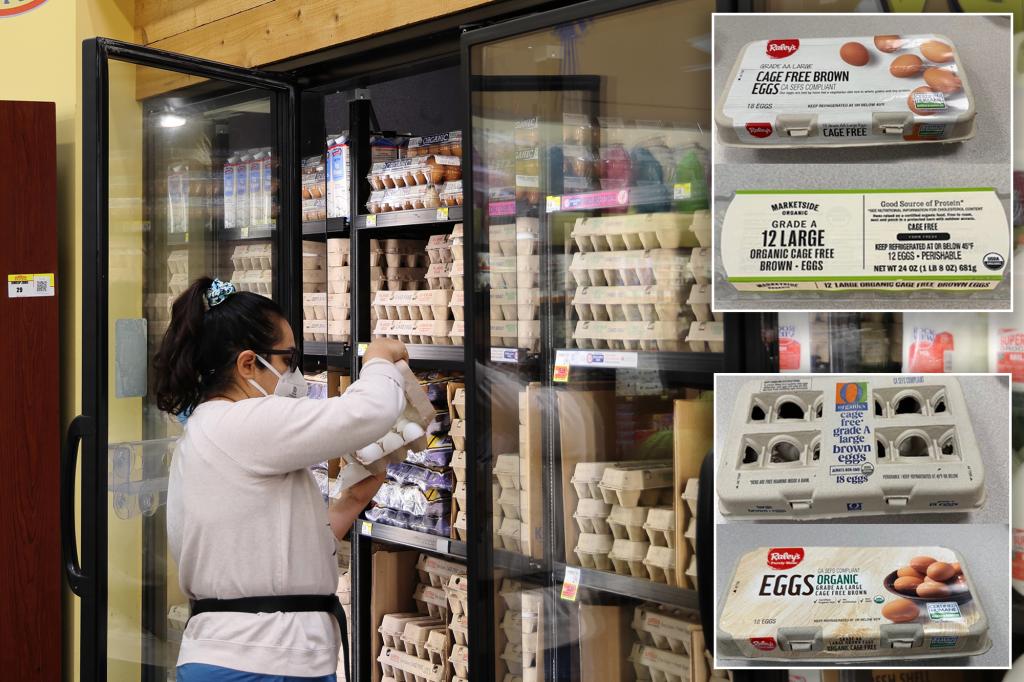 Dangerous salmonella outbreak tied to eggs sends more than 20 people to hospital