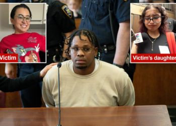 Daughter of NY woman nearly beaten to death by paroled rapist confronts him for first time in court: ‘So many emotions’