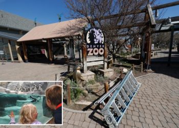 Denver zoo closes early over the weekend to prevent wild teens from pulling off TikTok-inspired ‘takeover’ trend