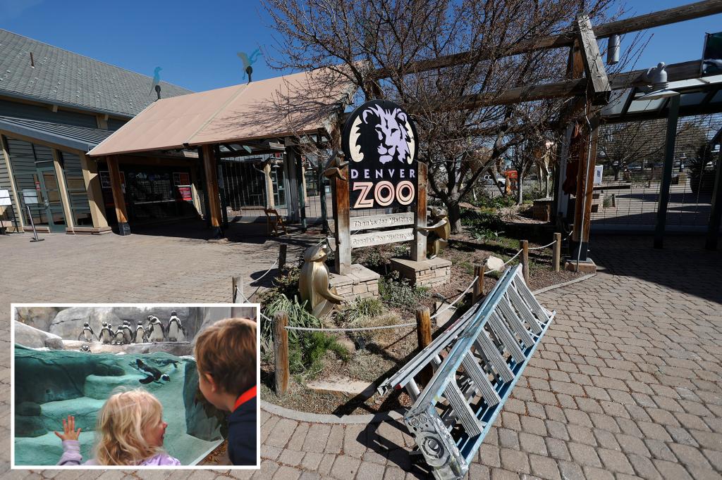 Denver zoo closes early over the weekend to prevent wild teens from pulling off TikTok-inspired ‘takeover’ trend