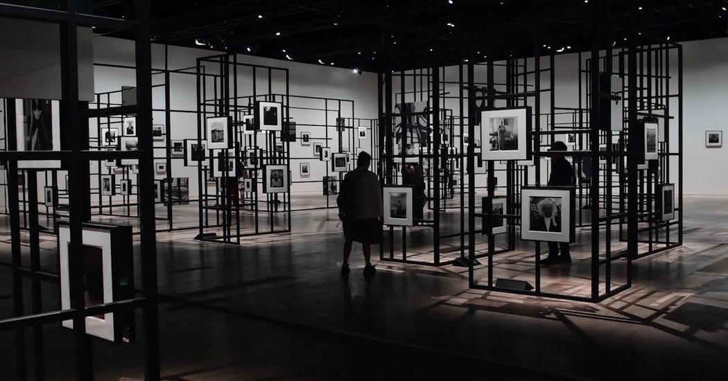 Diane Arbus, Everything Everywhere All at Once