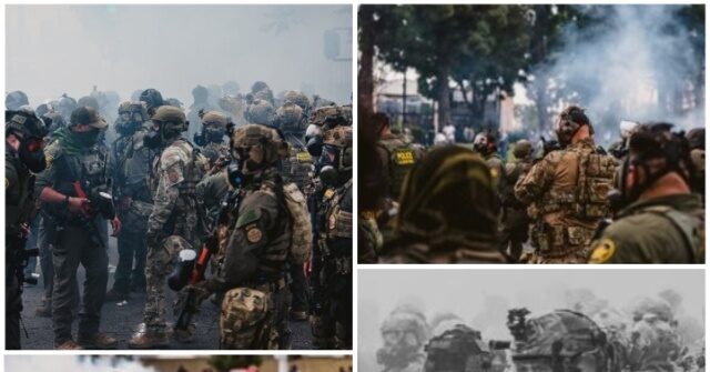 EXCLUSIVE: More Specially Trained Border Patrol Agents Deployed to Los Angeles