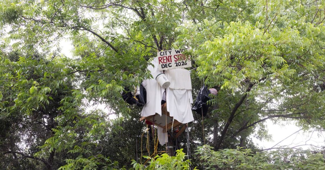 Elderly man builds tree house to protest eviction from state-owned home