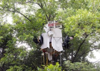 Elderly man builds tree house to protest eviction from state-owned home