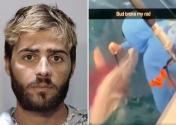 Florida man arrested for repeatedly stabbing shark in head as ‘revenge’ for stealing fish after gory video goes viral