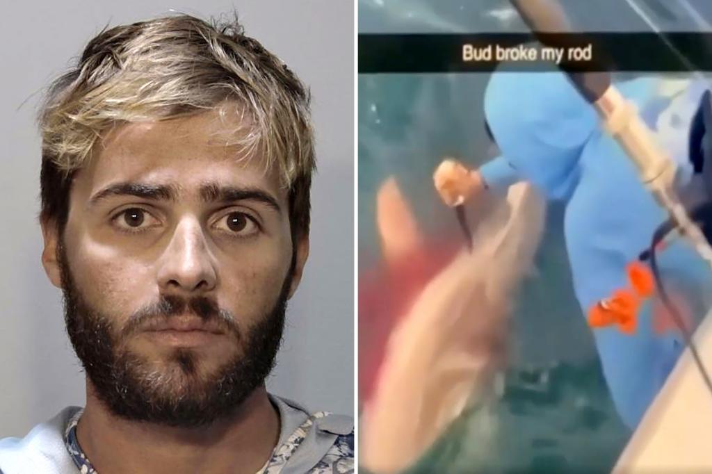 Florida man arrested for repeatedly stabbing shark in head as ‘revenge’ for stealing fish after gory video goes viral