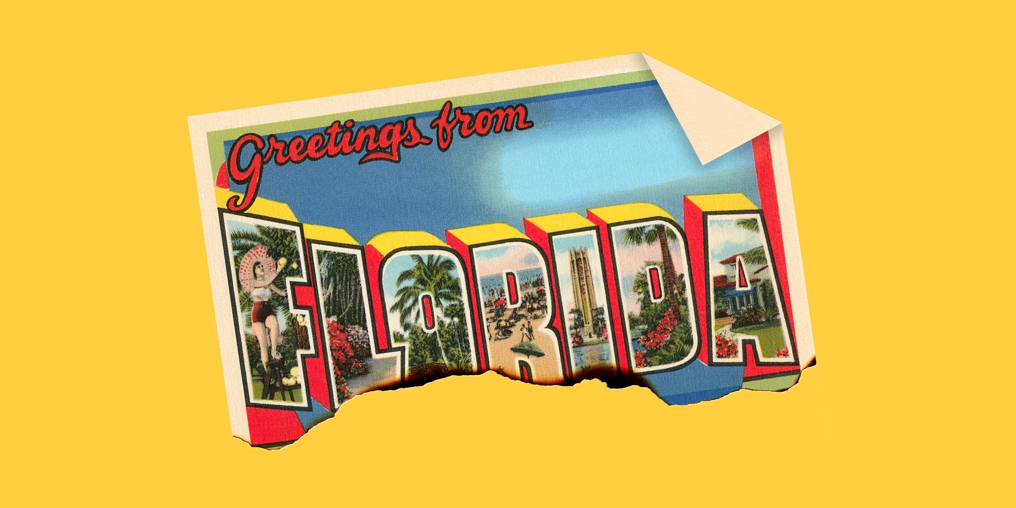 A burned Florida postcard