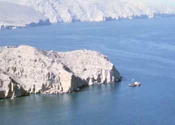 Global Shipping Organization Warns of Rising Threats Around Arabian Peninsula