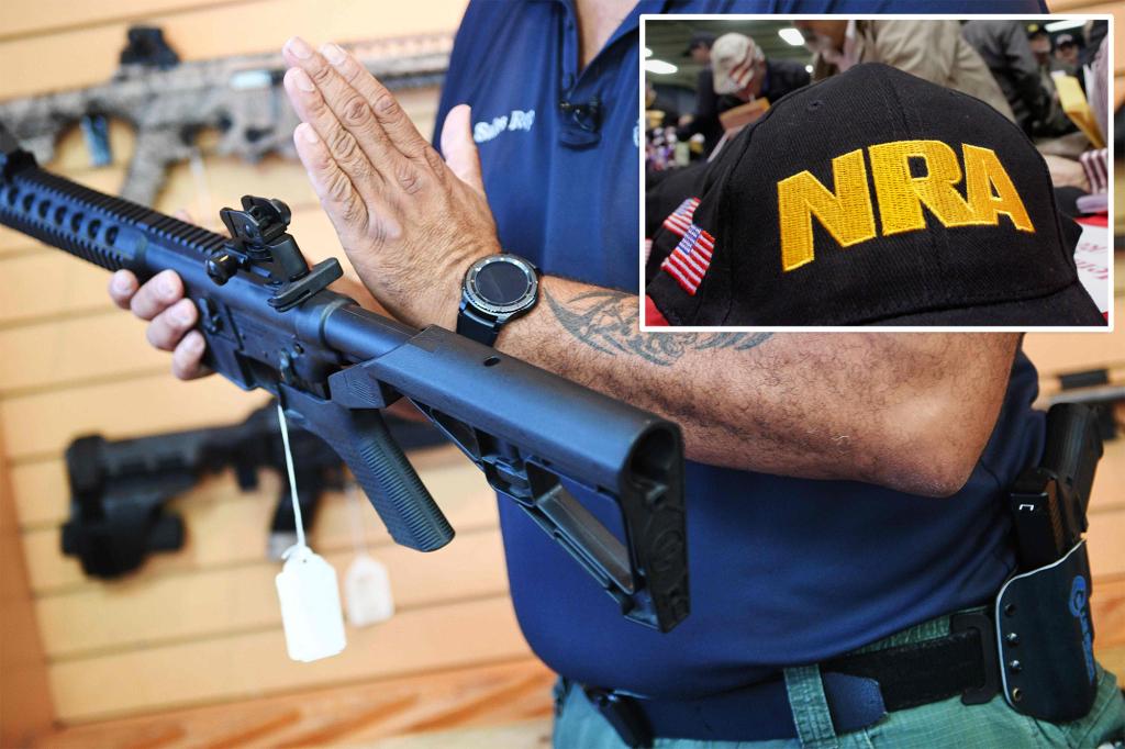 Gun rights groups slams Senate parliamentarian’s ruling on silencer deregulation: ‘Total garbage’ 