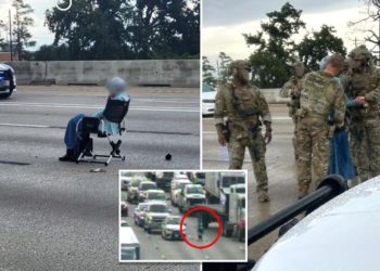 Gun-toting woman, 64, sat in lawn chair on busy Texas highway during hours-long police standoff