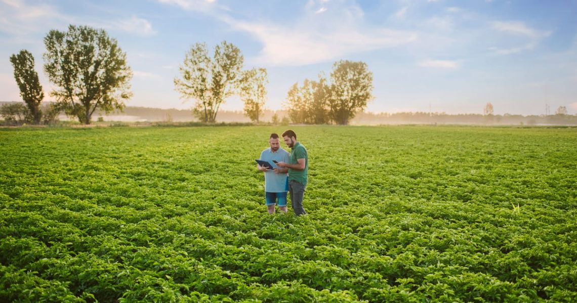 How CAP reform can secure Europe’s food future and set a global standard