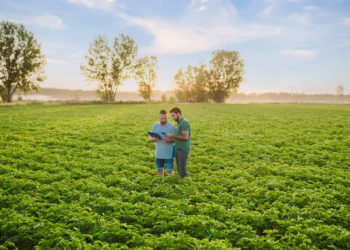 How CAP reform can secure Europe’s food future and set a global standard