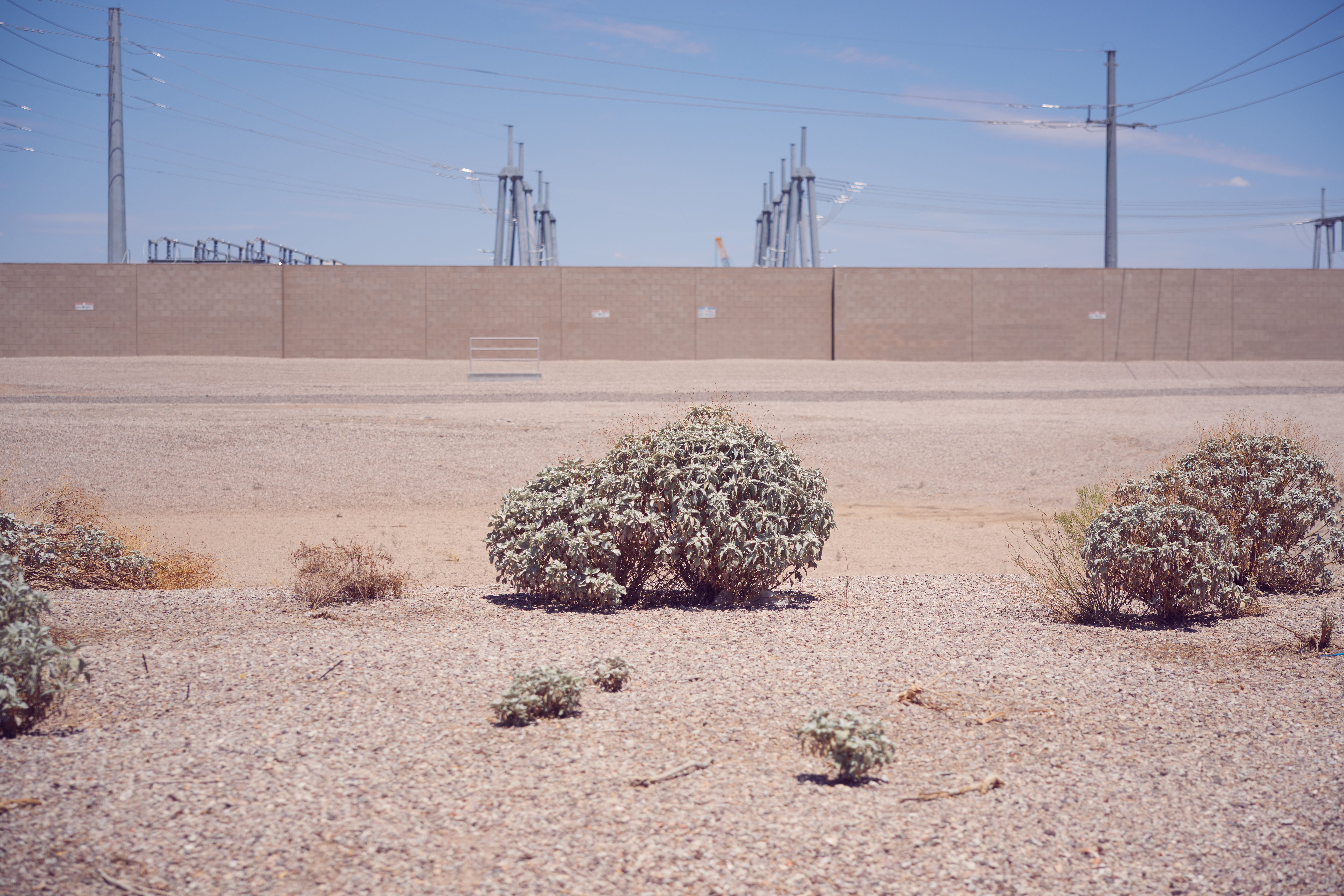 Desert vegetation in front of a large concrete wall topped with electrical infrastructure.