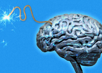 How far will AI go to defend its own survival?