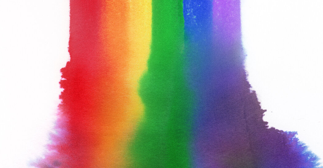 How the Gay Rights Movement Radicalized, and Lost Its Way