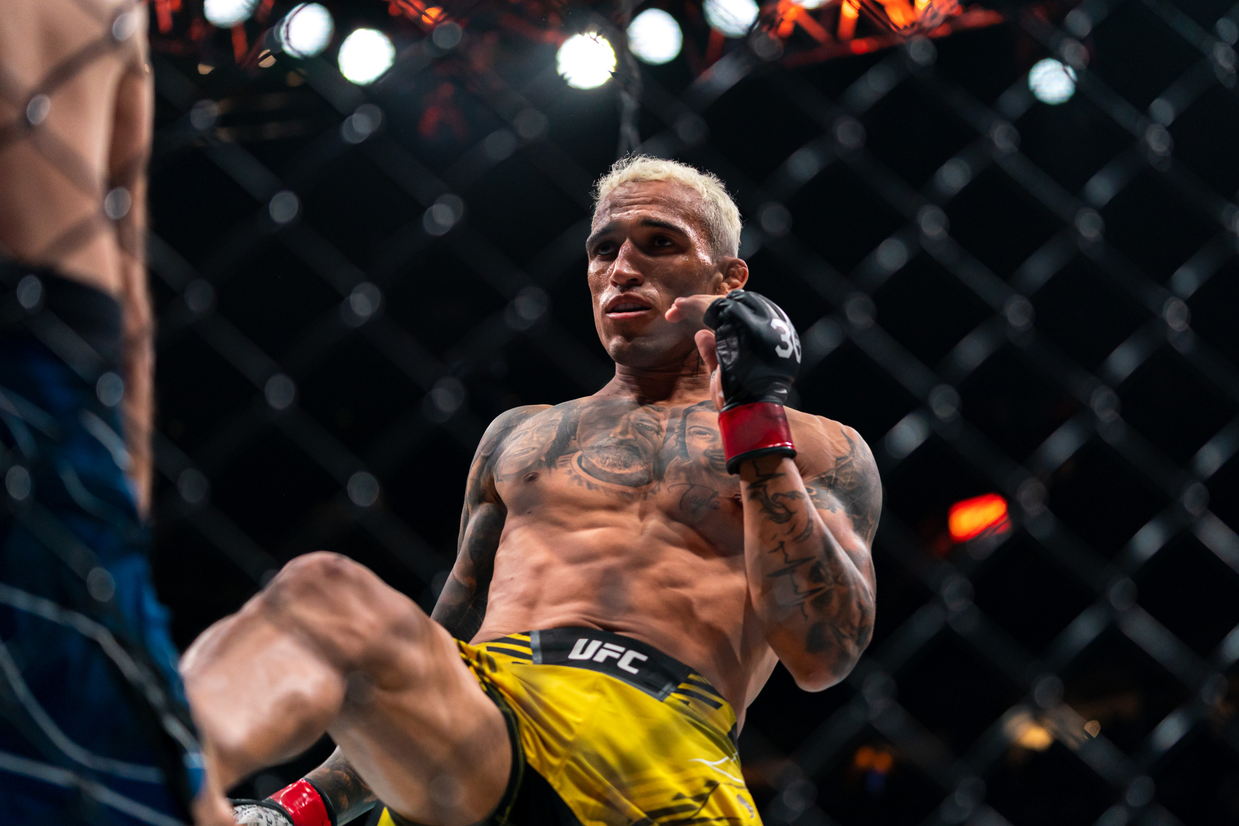 How to Watch UFC 317: Live Stream Charles Oliveira vs Ilia Topuria, TV