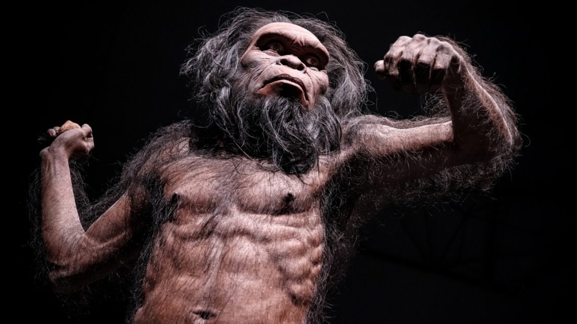 Humans nearly went extinct 1 million years ago, but we don’t know why