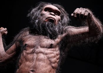 Humans nearly went extinct 1 million years ago, but we don’t know why