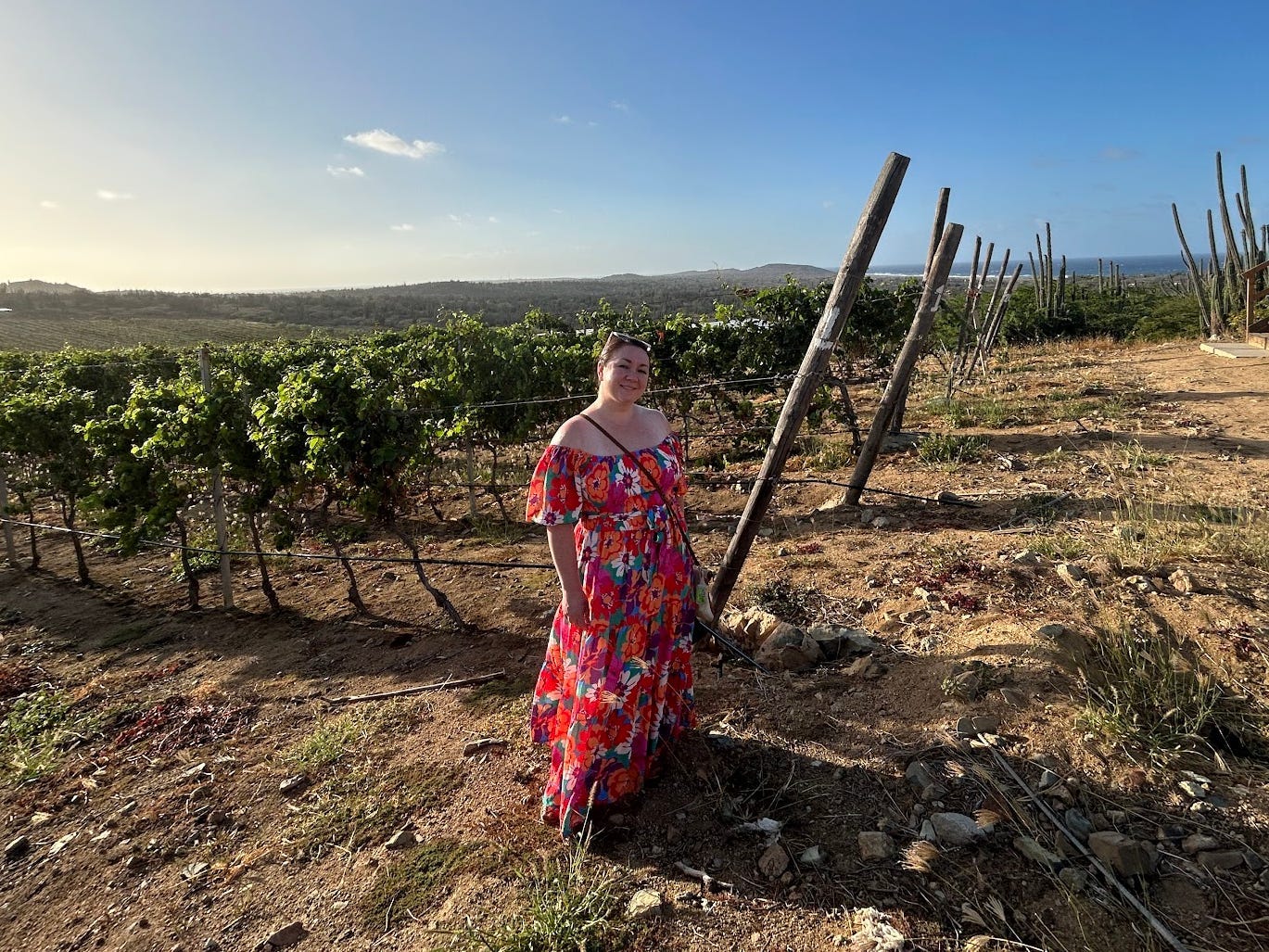 The writer at a vineyard in Aruba, wearing a red dress and looking at the camera.