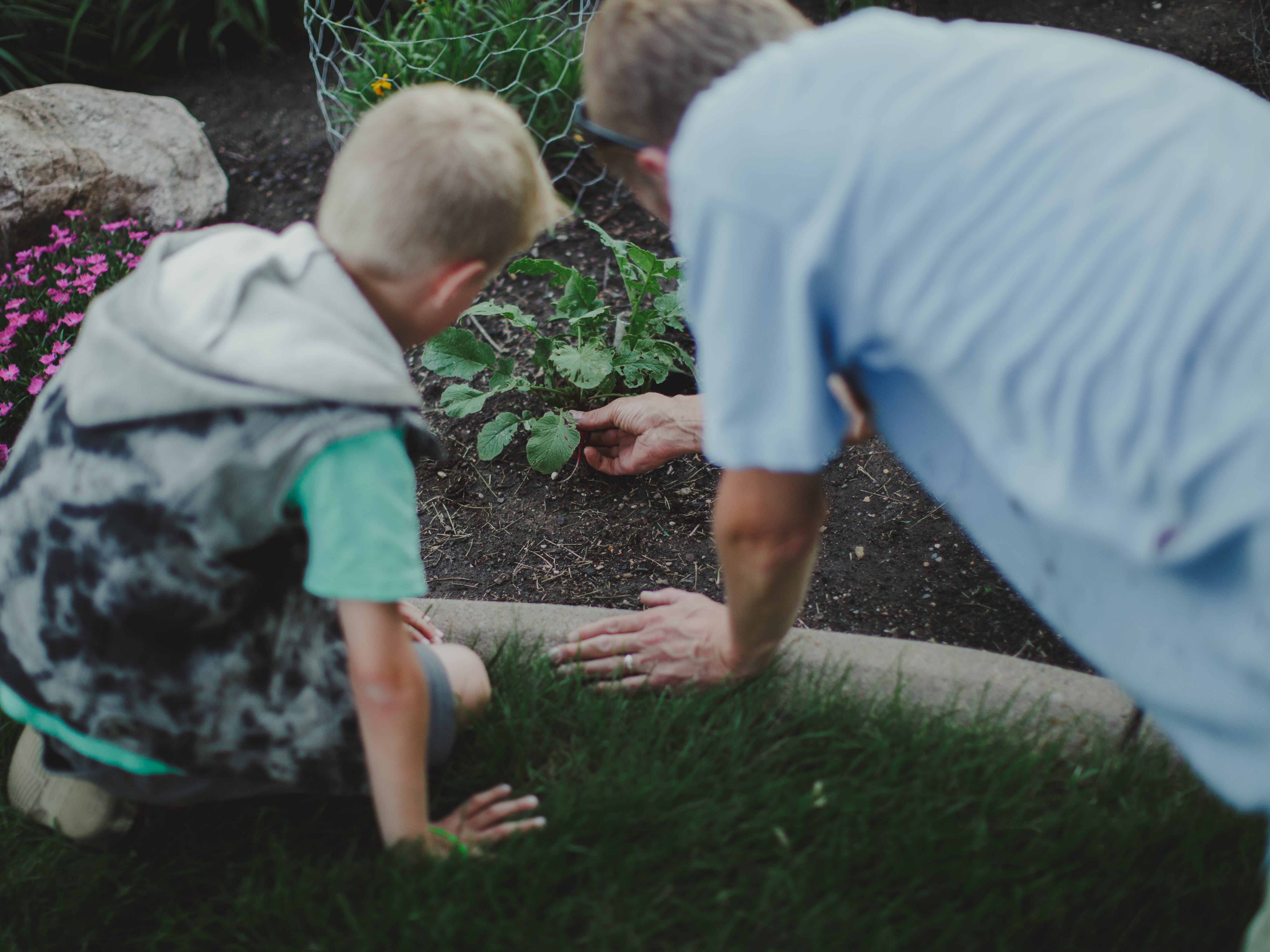a father and son gardening