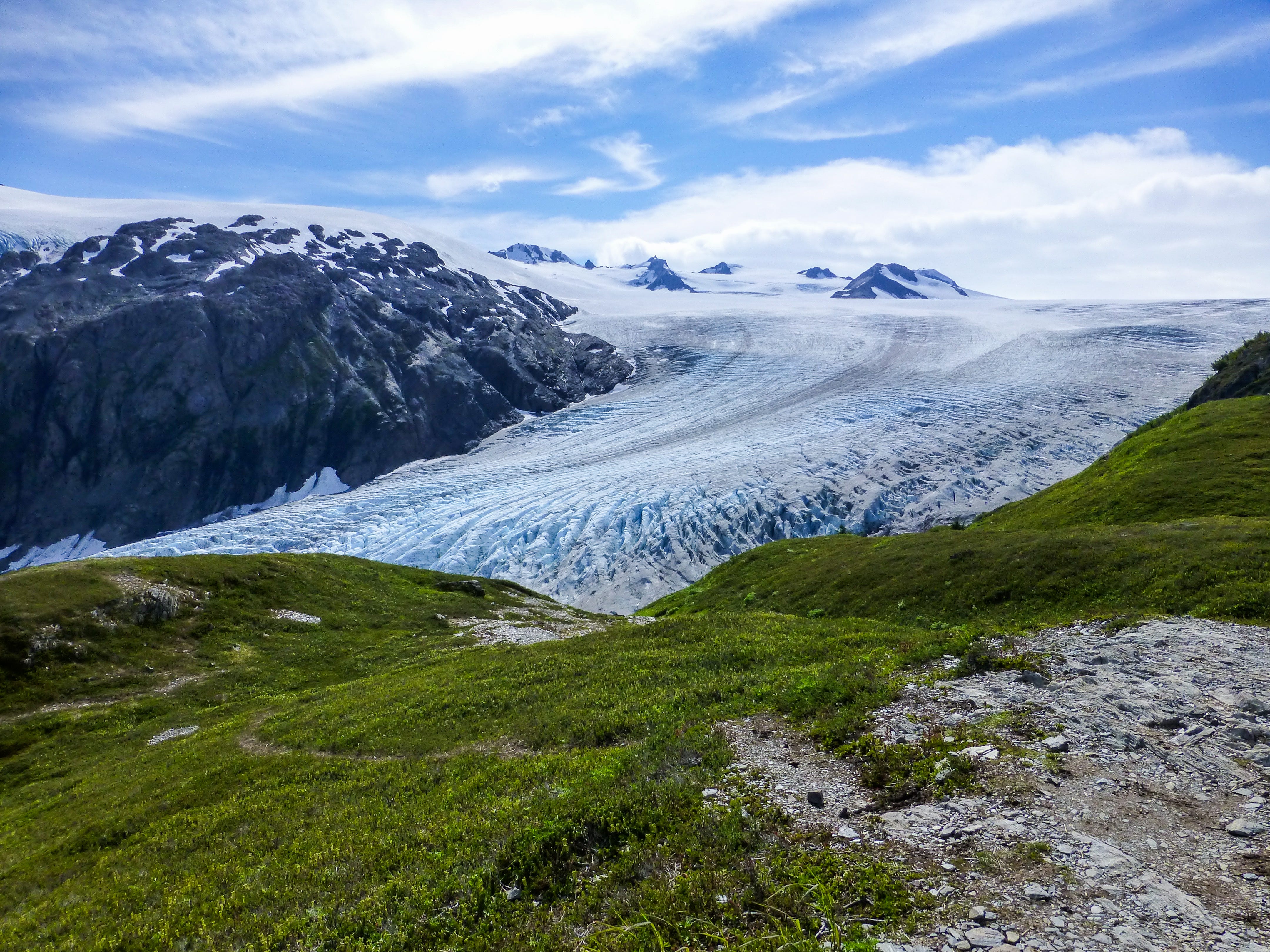 The view of Exit Glacier next to a patch of grass.