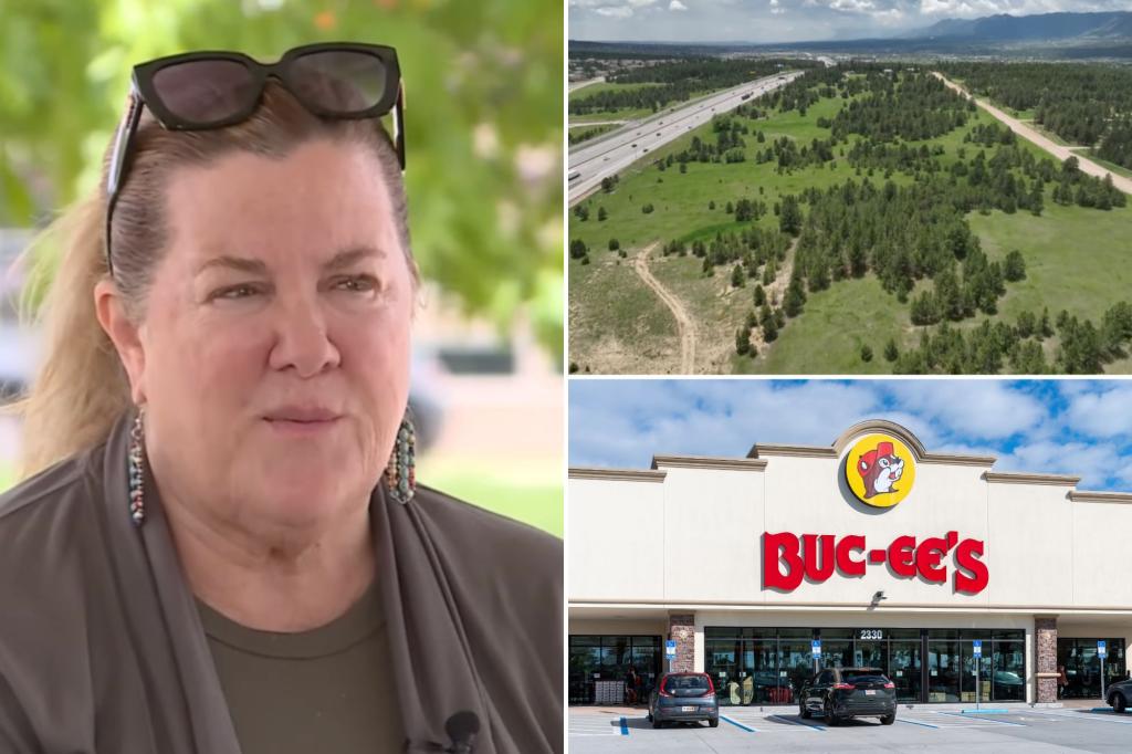 Mayor quits after facing harassment, threats as texts show her calling Buc-ee’s project opponents ‘terrorists’