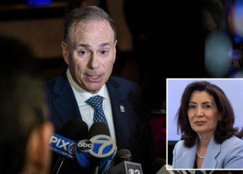 NY Dem leader strong-arming party officials to back Hochul after Delgado announces primary challenge