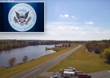 Pilot in deadly crash tried to dodge turtle on North Carolina runway, NTSB finds