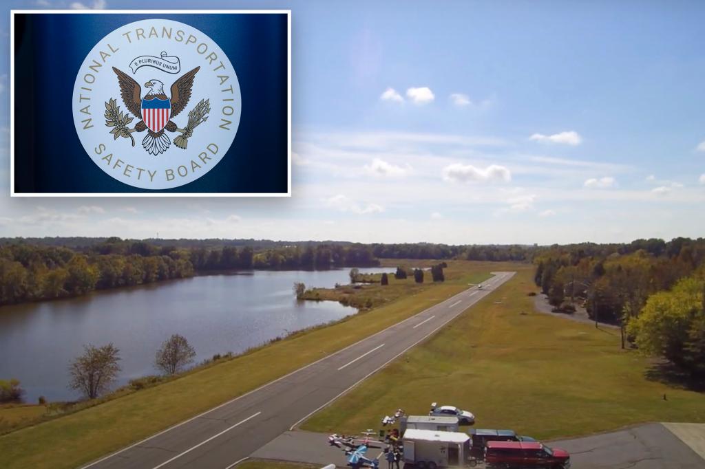 Pilot in deadly crash tried to dodge turtle on North Carolina runway, NTSB finds