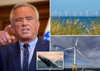 RFK Jr. blasts offshore windmill farms for harming marine life as he tries to save whales and ostriches: ‘Make no economic sense’