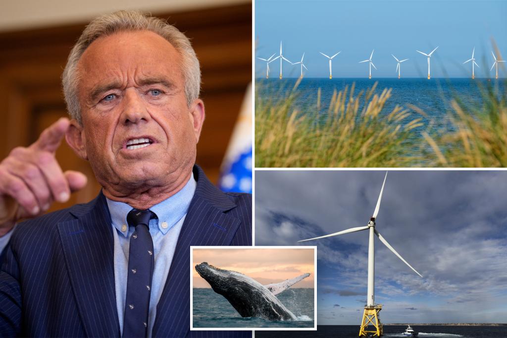 RFK Jr. blasts offshore windmill farms for harming marine life as he tries to save whales and ostriches: ‘Make no economic sense’
