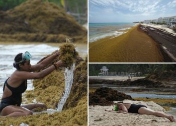 Record-breaking sargassum invasion in Atlantic, Caribbean threatens to foul beach resorts