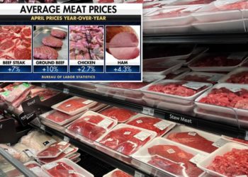 Relief could be coming to lower high meat prices across US: expert