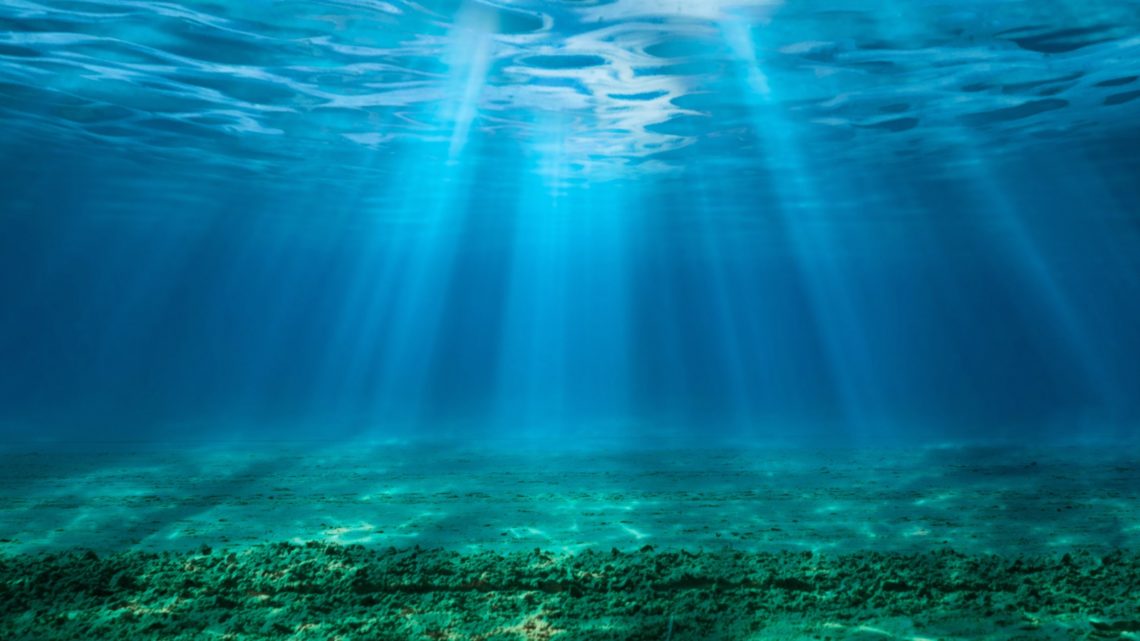 Removing CO2 from the ocean could have a negative impact, scientists warn