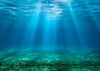 Removing CO2 from the ocean could have a negative impact, scientists warn