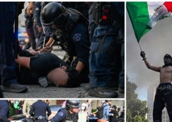 Rep. Crenshaw: Deport Non-Citizen Rioters Who Assault Cops