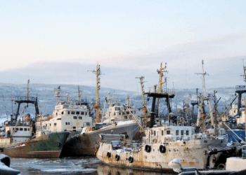 Russia’s Newest Victims May Be Fish