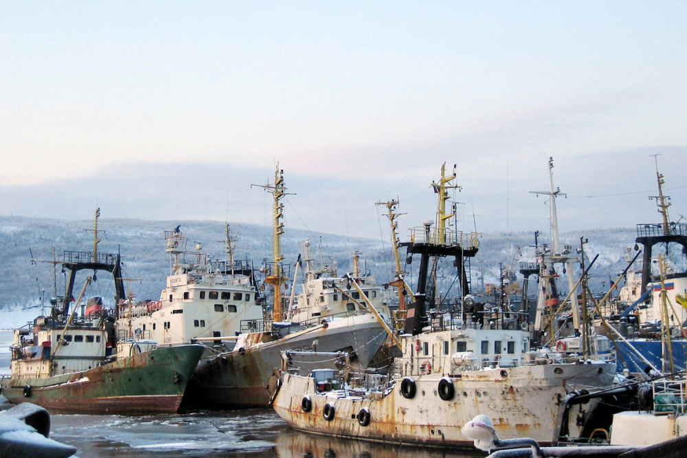 Russia’s Newest Victims May Be Fish