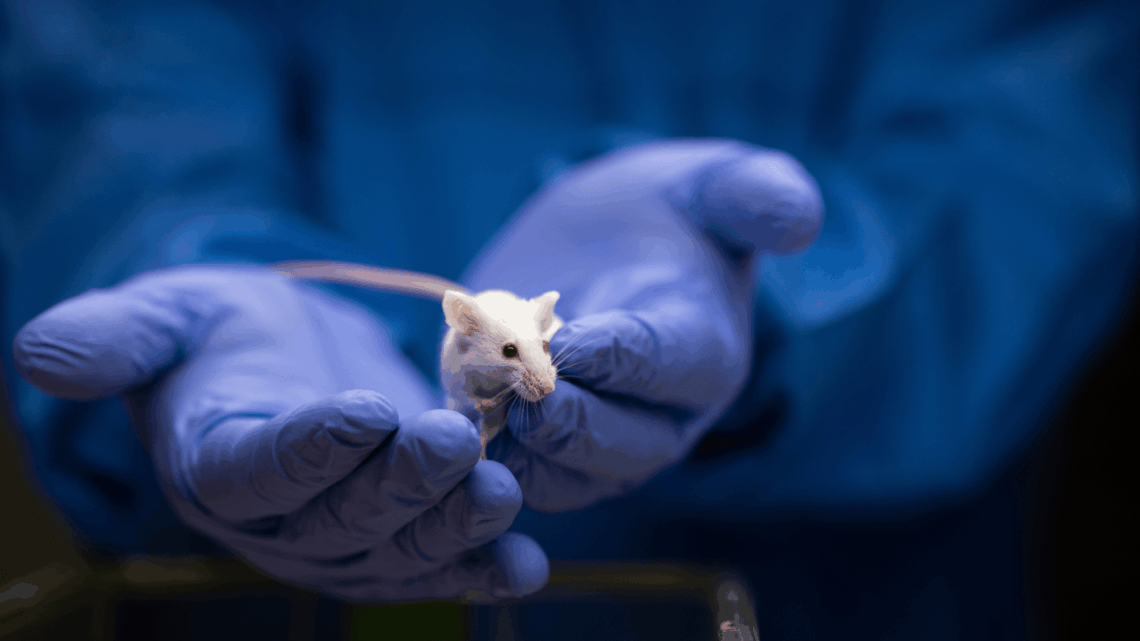 Scientists Used Gene Editing to Make Baby Mice From Two Males