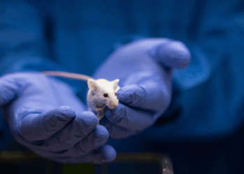 Scientists Used Gene Editing to Make Baby Mice From Two Males