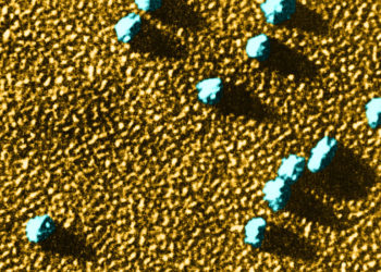 Shining a Light on the World of Tiny Proteins