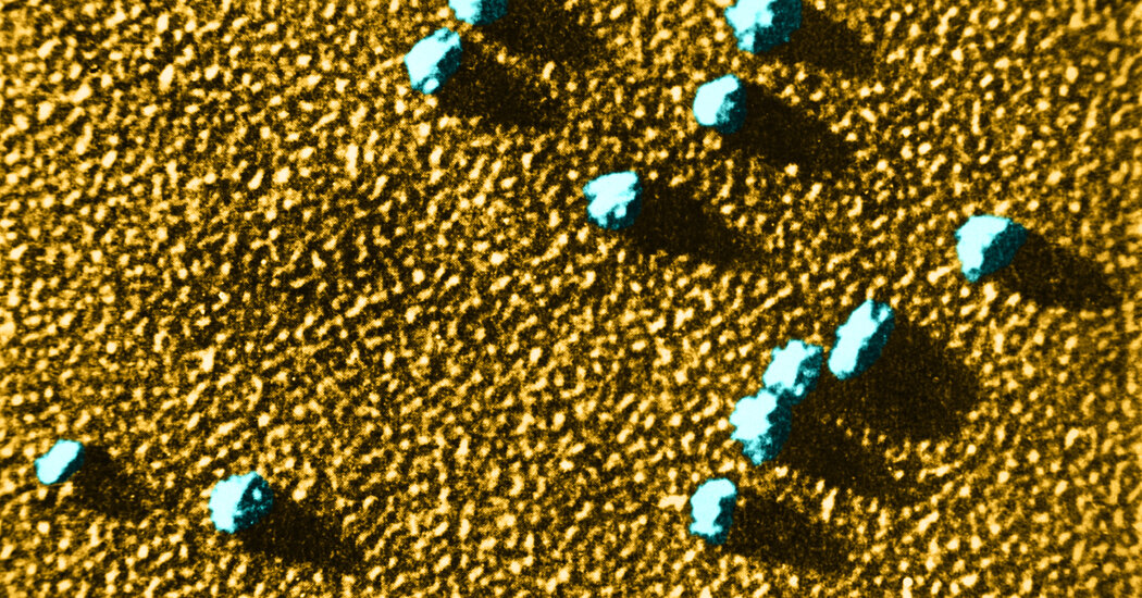 Shining a Light on the World of Tiny Proteins