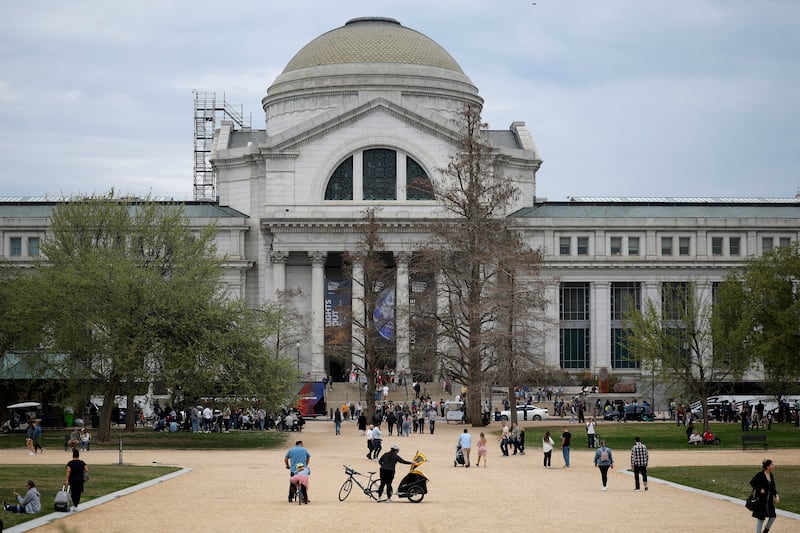 The Smithsonian National Museum of Natural History is seen on the National Mall on March 28, 2025 in Washington, DC.