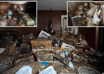 Stomach-turning photos show squalor of Brooklyn hoarder home where woman was found dead among 80 dogs