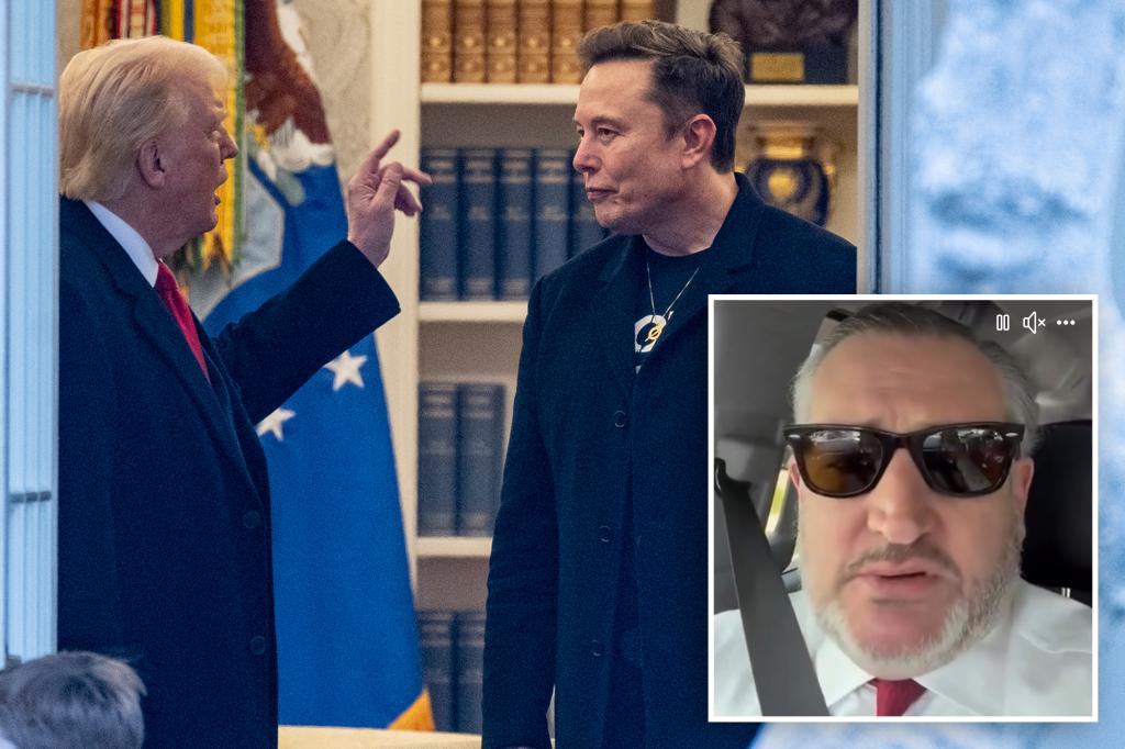 Ted Cruz was with president when Musk’s barrage of attacks started: ‘Trump was pissed’