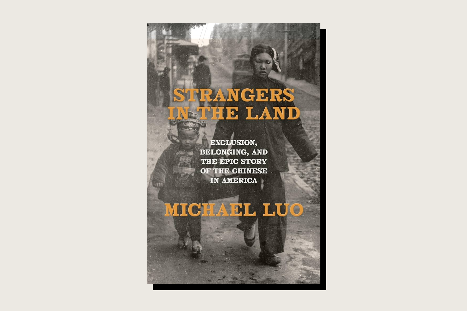 The book cover of Michael Luo's Strangers in the Land.