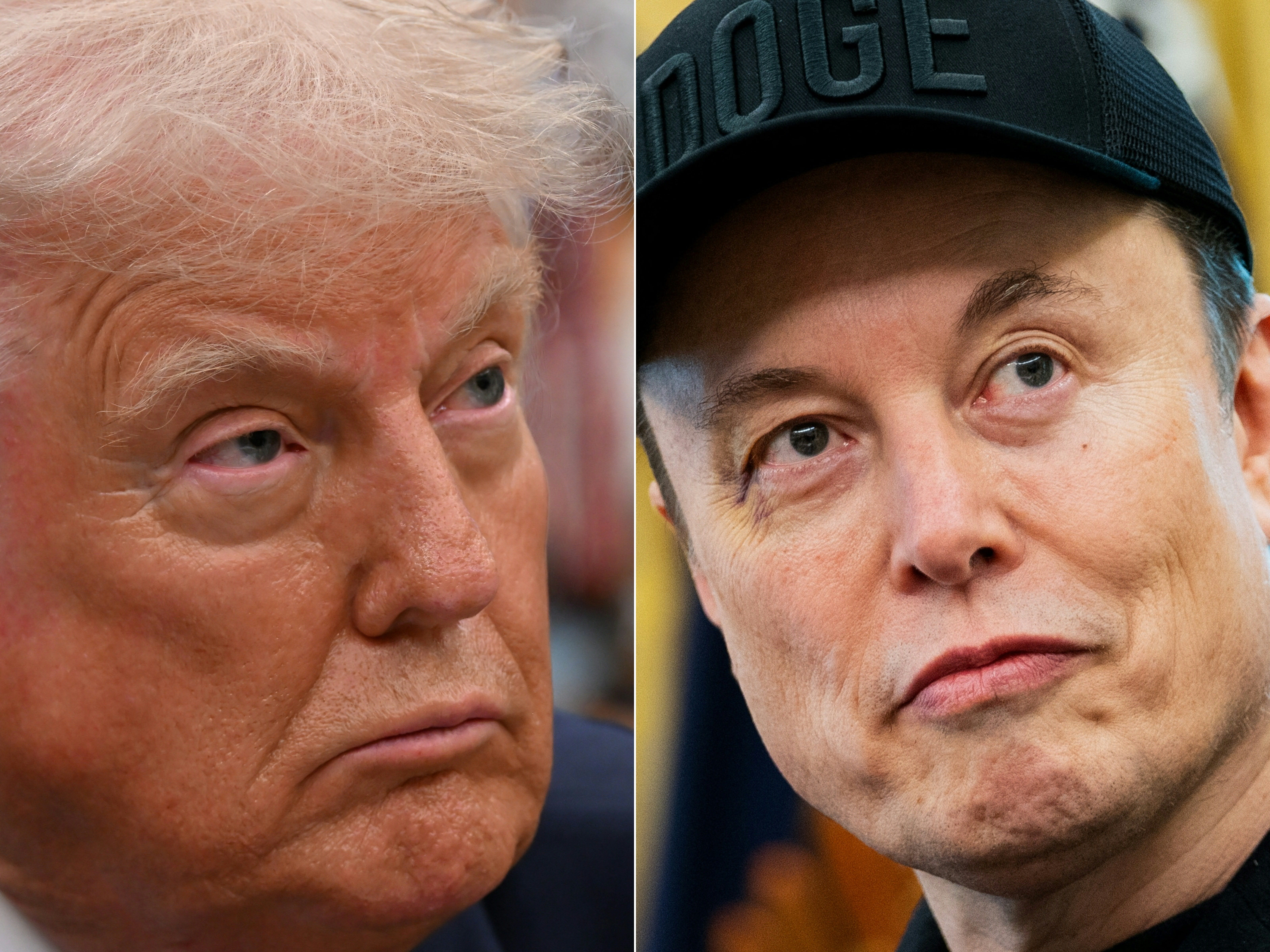 A split image of headshots of Elon Musk and Donald Trump