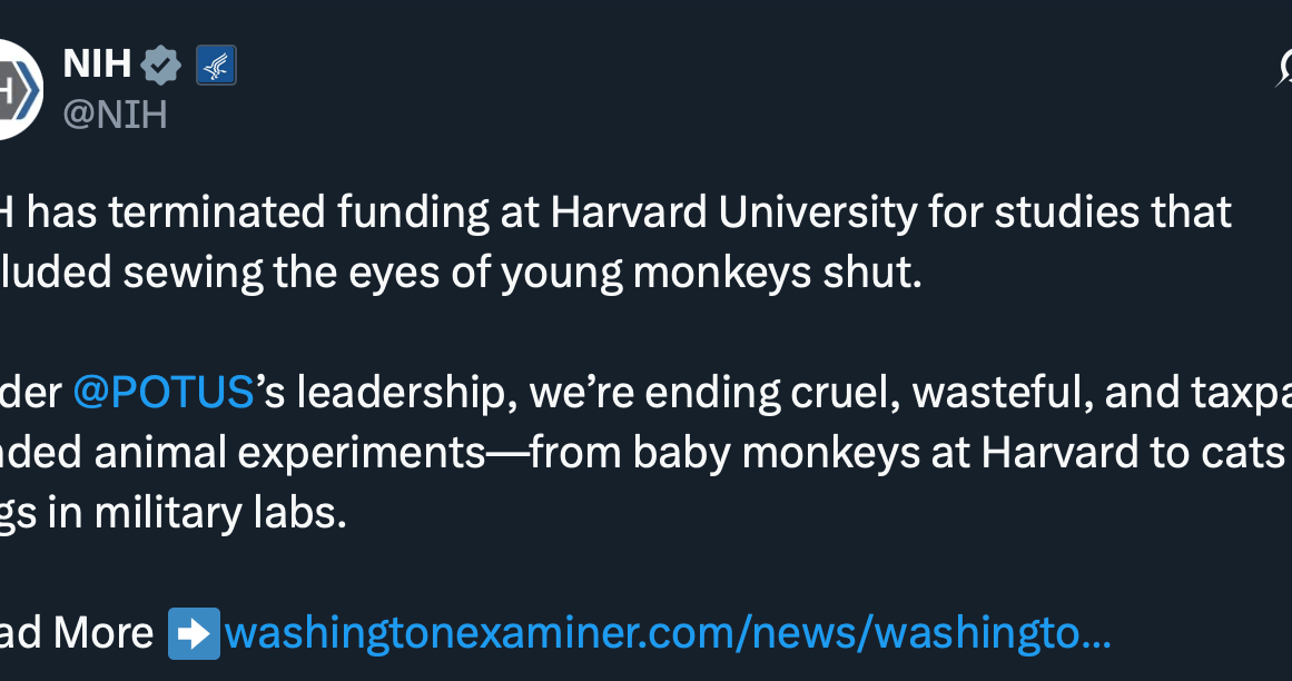 Screenshotted X post from the NIH saying: “NIH has terminated funding at Harvard University for studies that included sewing the eyes of young monkeys shut.</p>
<p>Under<br />
@POTUS<br />
’s leadership, we’re ending cruel, wasteful, and taxpayer-funded animal experiments—from baby monkeys at Harvard to cats and dogs in military labs.“” title=”Screenshotted X post from the NIH saying: “NIH has terminated funding at Harvard University for studies that included sewing the eyes of young monkeys shut.</p>
<p>Under<br />
@POTUS<br />
’s leadership, we’re ending cruel, wasteful, and taxpayer-funded animal experiments—from baby monkeys at Harvard to cats and dogs in military labs.“” data-has-syndication-rights=”1″ data-caption=”” data-portal-copyright=”” /></p>
<p>To put my own cards on the table, I think these experiments are pretty much impossible to justify. They’re emblematic of an <a target=
