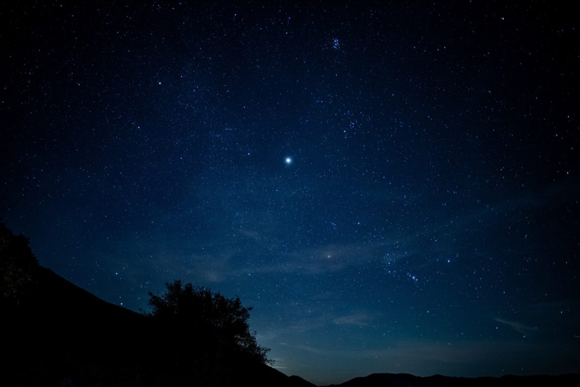 These moths use stars to navigate, just like humans