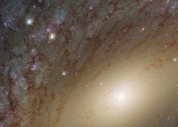 This is the largest map of the universe ever made, and anyone can explore it